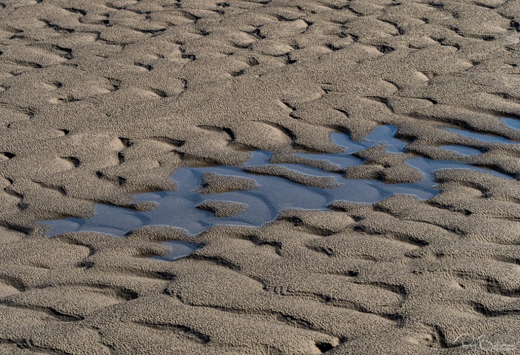 Abstract patterns in tidal silt